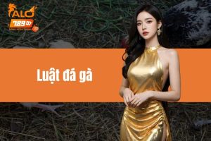 Luật Đá Gà ALO789 Và Những Điều Cần Biết Cho Các Sư Kê